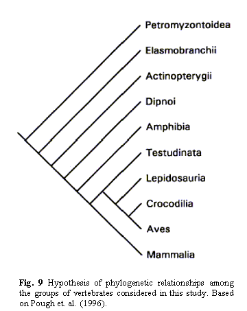 Richardson et al. Fig. 9